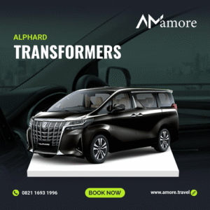 ALPHARD TRANSFORMER (AT)