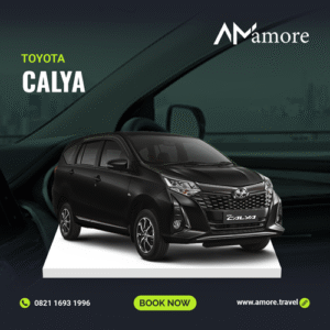 CALYA (AT/MT)