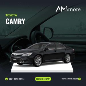 CAMRY (AT)