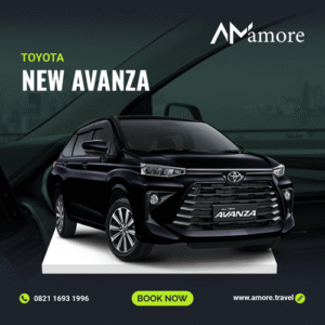 NEW AVANZA (AT/MT)