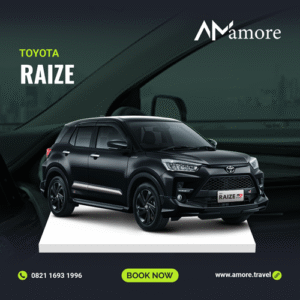 RAIZE (AT)