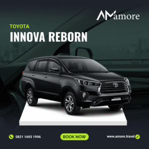 INNOVA REBORN (AT)